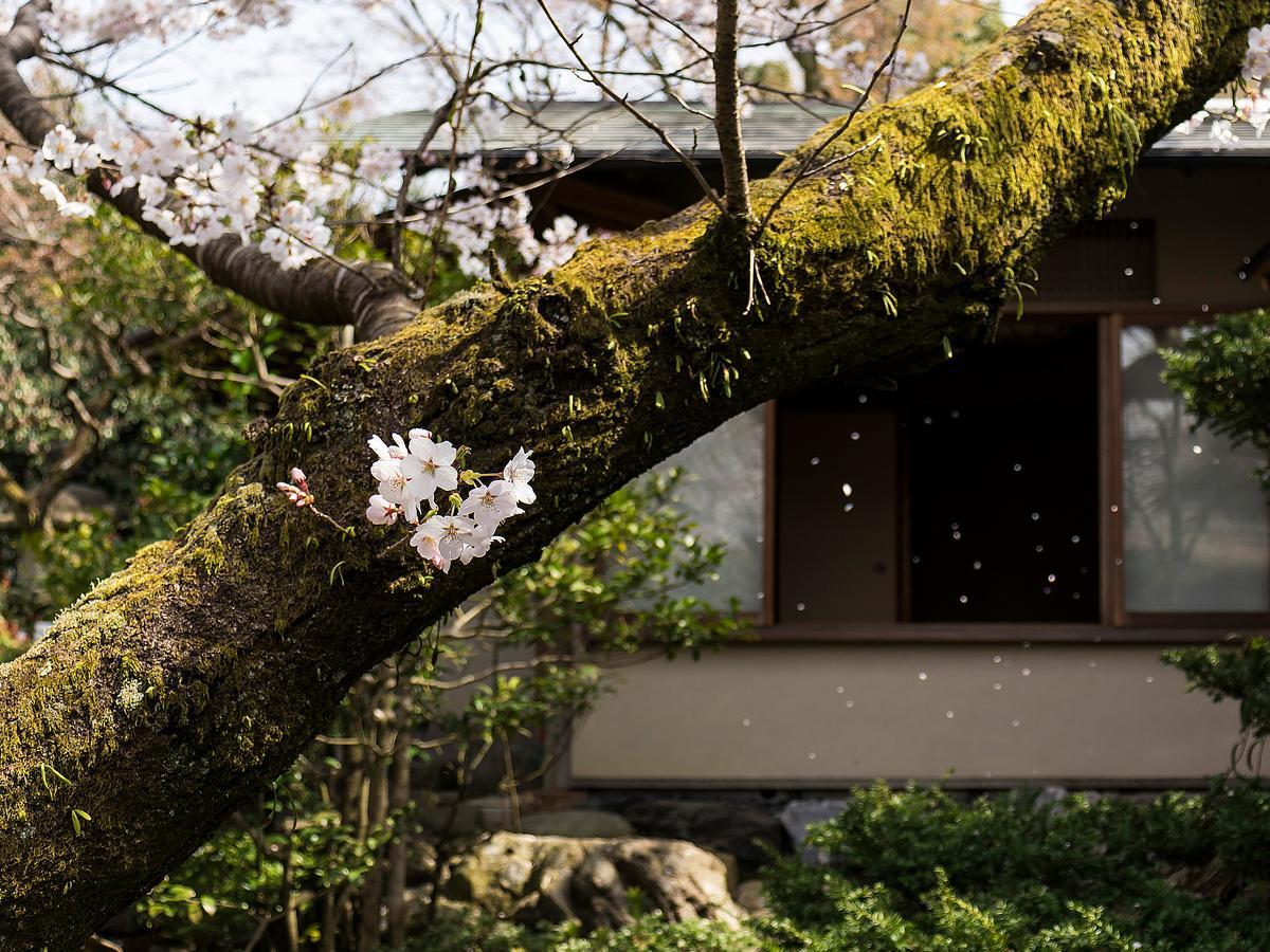 Nanzenji Sando Kikusui Kyoto Ngoại thất bức ảnh