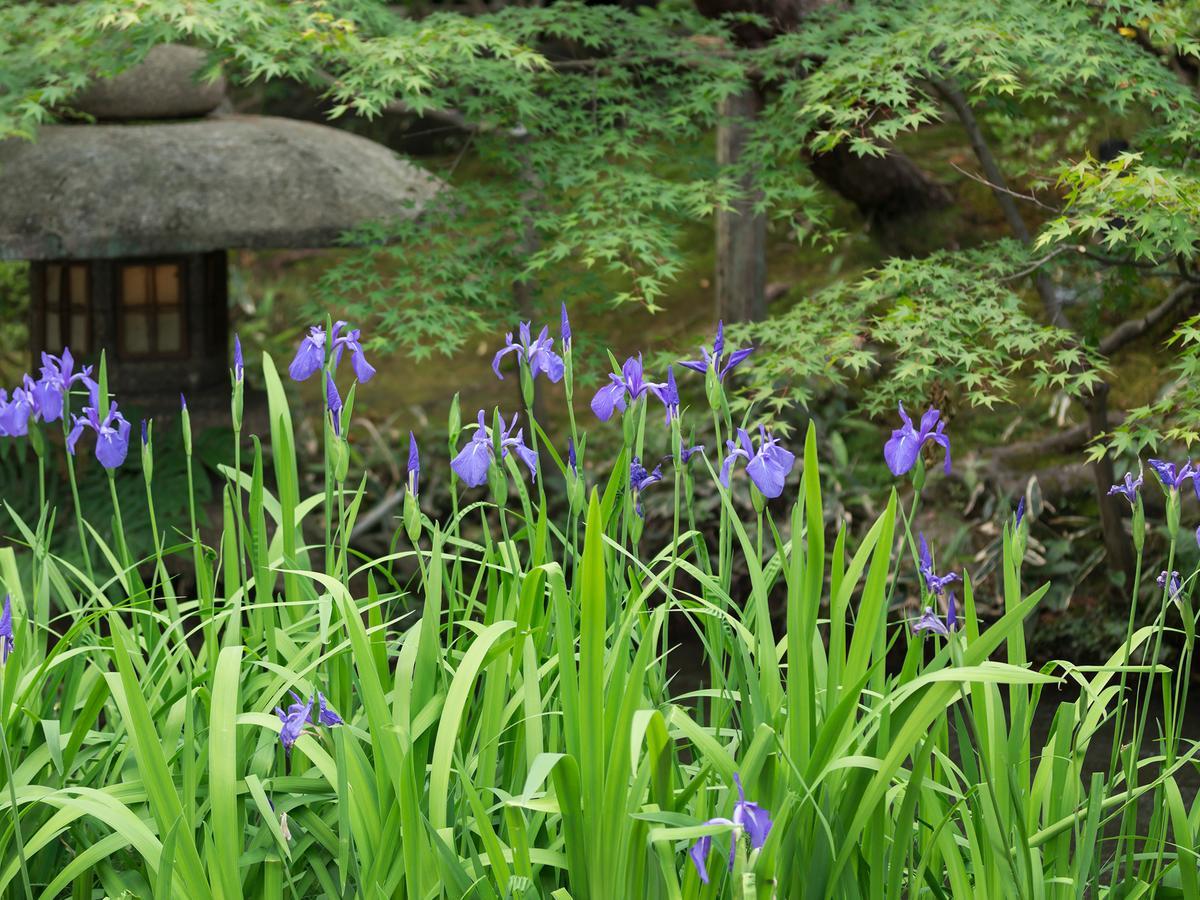 Nanzenji Sando Kikusui Kyoto Ngoại thất bức ảnh
